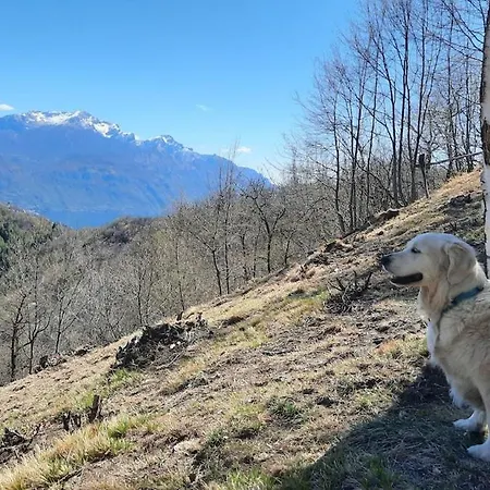Il Castagneto Di Carmen * Monti di Grandola